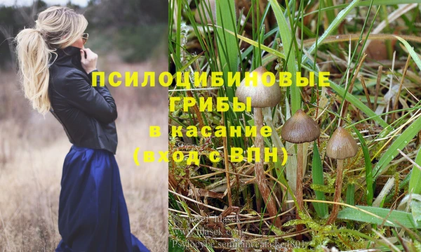 каннабис Алзамай