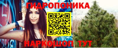 мдпв Анапа