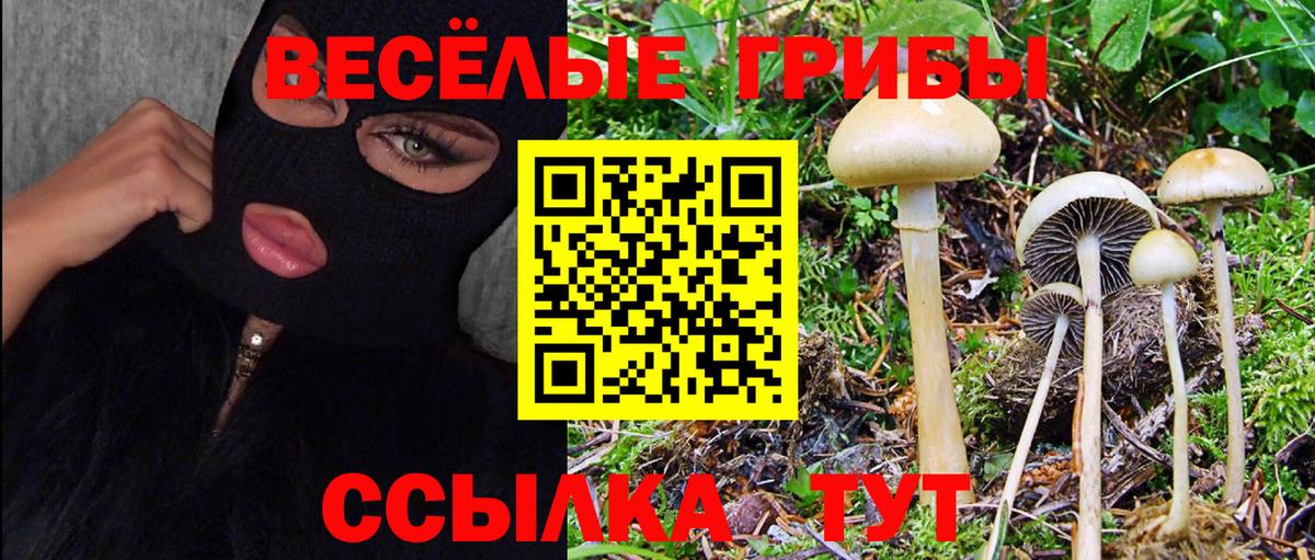 Псилоцибиновые грибы MAGIC MUSHROOMS Астрахань