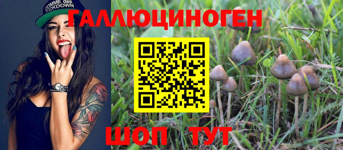 Псилоцибиновые грибы мухоморы  Псилоцибиновые грибы Psilocybine cubensis  Вход с VPN  закладка  Астрахань 